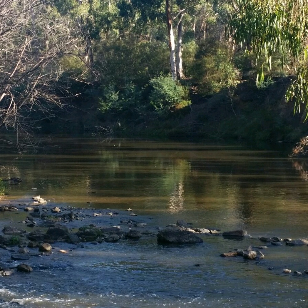 Meet your Posher, Rr